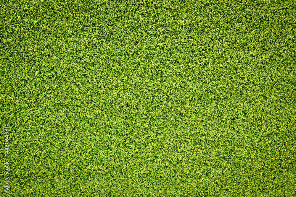 Canvas Prints top view green grass texture for background