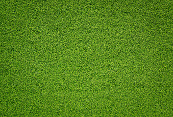 Obraz na płótnie Canvas top view green grass texture for background