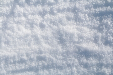 Winter snow. Snow texture Top view of the snow. Texture for design. Snowy white texture. Snowflakes.