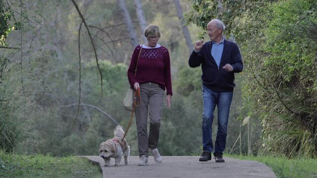 Active healthy senior couple walking dog along woodland path together having discussion