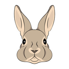 Obraz premium Portrait, head of a cute rabbit or hare in lineart style, cartoon. Vector illustration.
