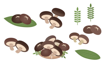 しいたけ盛り合わせ　シイタケのイラストセット
