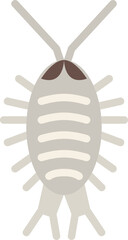 wharf roach flat icon