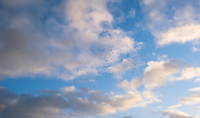 white clouds and blue sky
