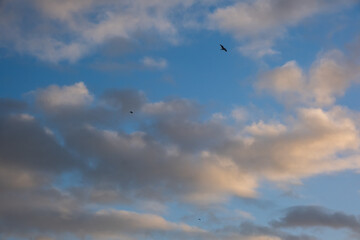 white clouds and blue sky
