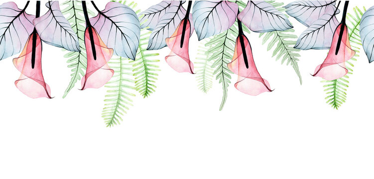 watercolor seamless border, banner, frame with tropical transparent flowers and leaves. pink and blue flowers and leaves of calla lilies, fern isolated on white background.