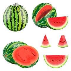 Set of watermelons. Whole and sliced, half and quarter of a watermelon. Ripe, juicy, sweet watermelon for banner, flyer, menu. Watermelon day. Fresh summer fruits and berries. Vector illustration.