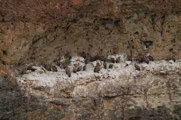 texture of stone