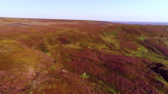 North York Moors Heather at Danby Dale Aerial Drone Footage of heather in full bloom in Summer - Clip 7