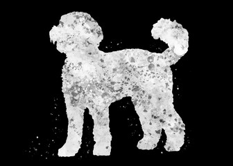 Labradoodle Dog black and white watercolor, abstract painting. Watercolor illustration rainbow, colorful, poster, decoration wall art.