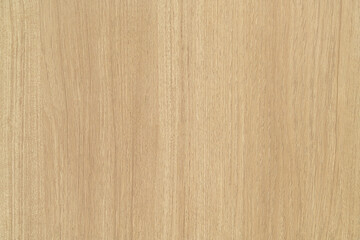 Naklejka premium beautiful wood wall texture for background