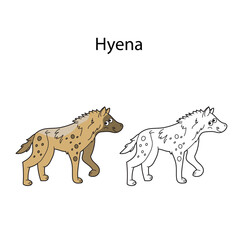 Funny cute animal hyena isolated on white background. Linear, contour, black and white and colored version. Illustration can be used for coloring book and pictures for children