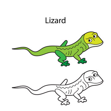 Funny cute animal lizard isolated on white background. Linear, contour, black and white and colored version. Illustration can be used for coloring book and pictures for children
