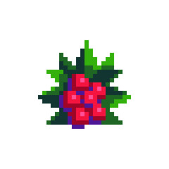 Fototapeta premium Berry logo pixel art icon. Isolated vector illustration. Game assets 8-bit sprite. Design for stickers, web, mobile app.