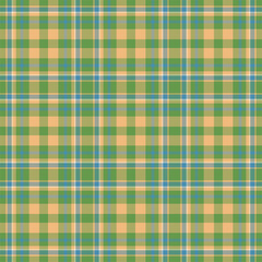 Plaid seamless pattern. Vector background of textile ornament. Flat fabric design.