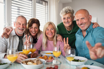 Group of senior friends having party indoors, looking at camera when eating.