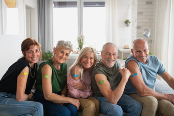 Group of senior friends showing plaster on arm indoors, covid-19 vaccination concept.