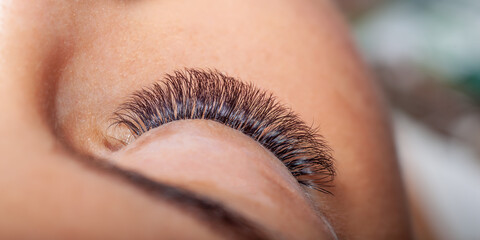Woman Eyes with Eyelashes Extension. Lashes extension.