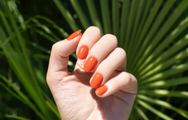 Female hand with orange nail design. Orange nail polish manicure. Female hand on a tropic plant leaf background. - obrazy, fototapety, plakaty