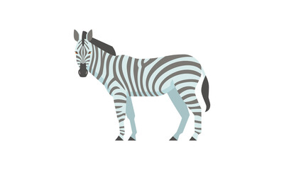 Fototapeta na wymiar African native animal zebra (Equus quagga) side angle view, flat style vector illustration isolated on white background