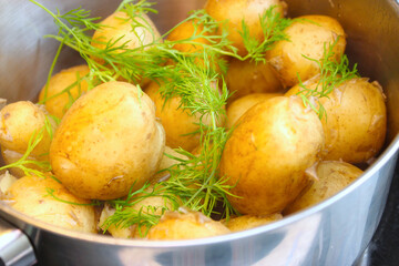 potato in pott with dill