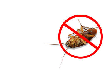 Dead cockroaches with red prohibition sign on white background. Pest control