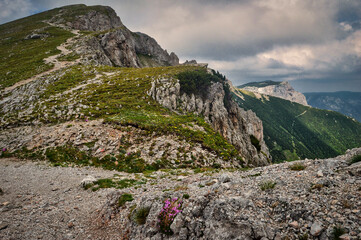 Wandern auf der Rax /Heukuppe, Predigtstuhl, Schlangenweg in Niederösterreich - Landschaft mit Berg, Fels, Gipfel, Wiese, Wanderweg und dramatisch bewölktem Himmel