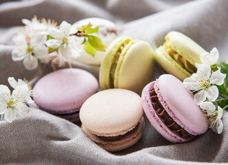 French sweet macaroons colorful variety on a gray textile background