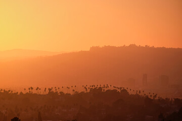 spectacular sunset in Los Angeles with silhouettes of palm trees, California, United States