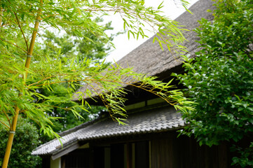藁葺きの日本家屋のイメージ