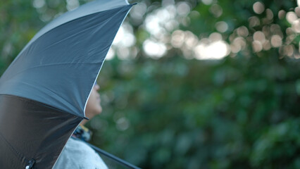 person holding umbrella in park