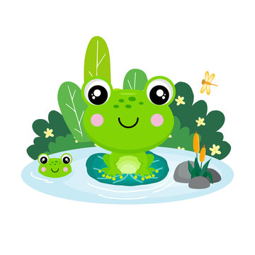  Cute frog sitting on a leaf in a pond .