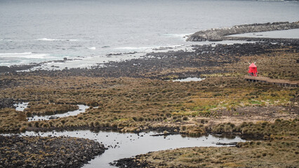 The landscape of Pico Island in the Azores