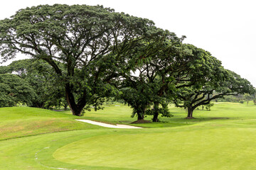 beautiful landscape at golf course