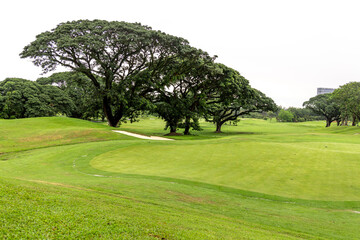 beautiful landscape at golf course