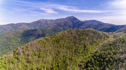 Fototapeta na wymiar View from above. Russian green taiga. Cloud Mountain in the Primorsky region. One of the highest mountains in Primorye.