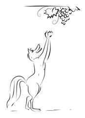 fox and GRAPES fable story, VECTOR LINE