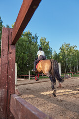 A girl rider on a horse jumps over an obstacle.