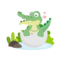 Cute newborn crocodile in broken egg shell.