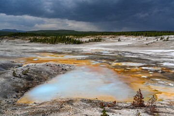 Colloidal Pool in Yellowstone National Park, Wyoming