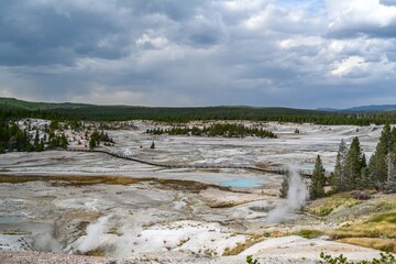 The Norris Geyser Basin in Yellowstone National Park, Wyoming