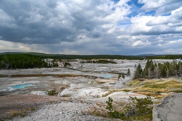The Norris Geyser Basin in Yellowstone National Park, Wyoming