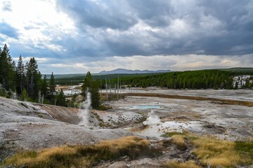 Fototapeta na wymiar The Norris Geyser Basin in Yellowstone National Park, Wyoming