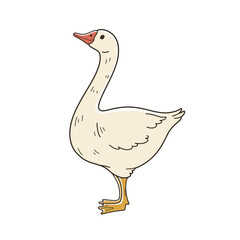 Cute goose. Contour vector illustration.