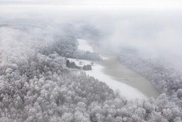 Nebliger Schwarzwald im Winter