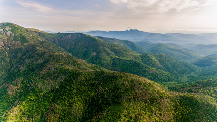 Naklejka premium View from above. Russian green taiga. Green ridge of a high mountain, overgrown with conifers.