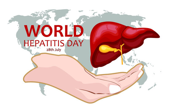 28th July World Hepatitis Day illustration vector image