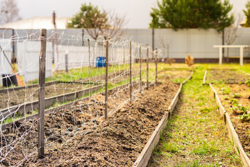 The trellis net is stretched on the garden bed in the spring before planting