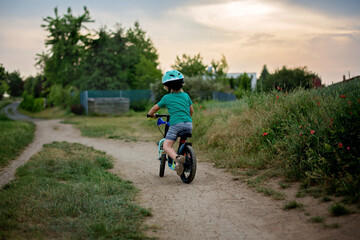 Obraz premium Cute little toddler child, riding a bike in the park