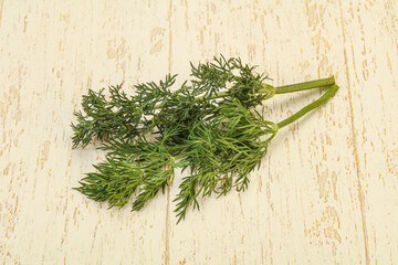 Aroma seasoning - Green Dill branch